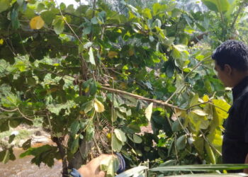 Warga di Gegerkan Penemuan Mayat Laki-laki