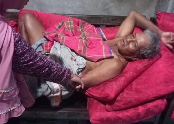 Warga Tembeling Jadi Korban Terkaman Buaya