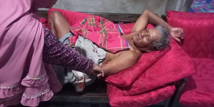Warga Tembeling Jadi Korban Terkaman Buaya