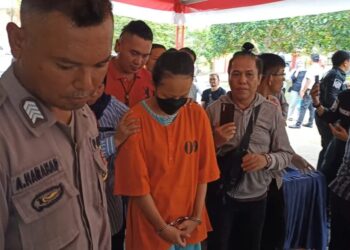 Kapolsek Beberkan Sei Beduk Beberkan Alasan AN Bunuh Anaknya Baru Lahir