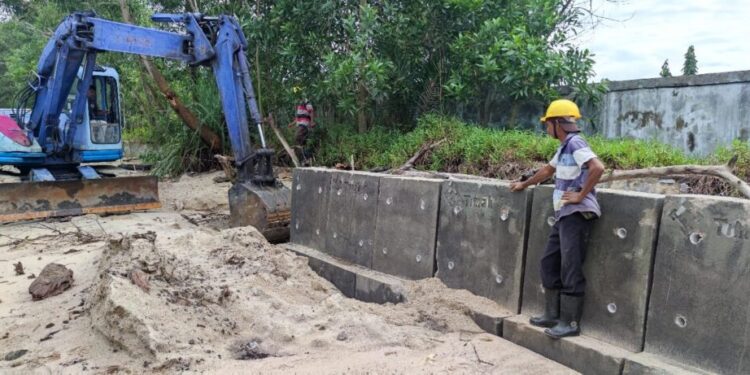 PT Timah Lakukan Pencegahan Abrasi