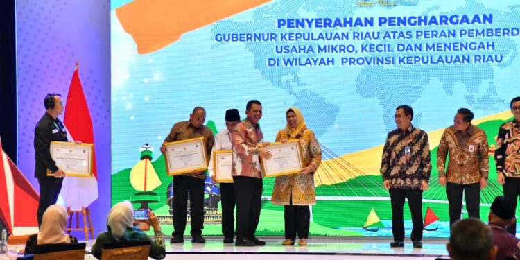Dekranasda Terima Penghargan dari Gubernur Kepri