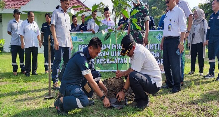 Peduli Penghijauan, PT Timah Tbk Tanam 180 Pohon Tanaman Produktif di Kundur Barat