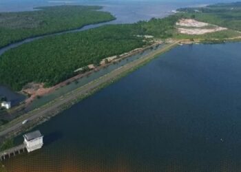 Apa Rugi dan Untungnya, Jika Xinyi Glass Holding Gagal Investasi di Pulau Rempang