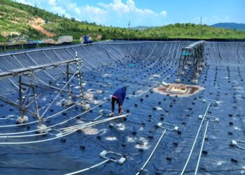 Pelaku Usaha di Rempang Bongkaran Lokasi Usaha Tanpa Adanya Paksaan