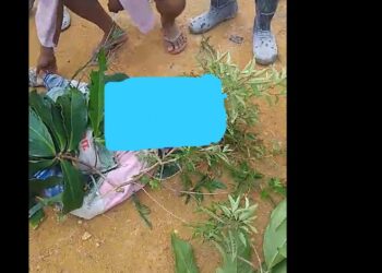 Disambar Petir, Satu Orang Pekerja Perumahan Poros City Meningal Dunia