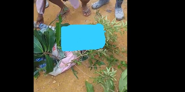 Disambar Petir, Satu Orang Pekerja Perumahan Poros City Meningal Dunia