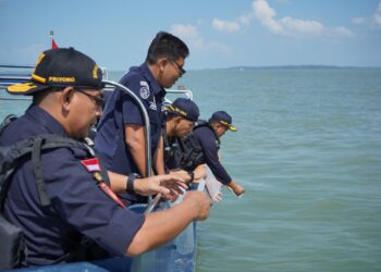 Kanwil Bea Cukai Kepulauan Riau Berhasil Gagalkan Penyelundupan Benih Lobster Senilai Rp18 Miliar