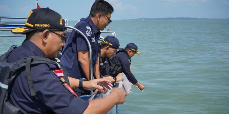 Kanwil Bea Cukai Kepulauan Riau Berhasil Gagalkan Penyelundupan Benih Lobster Senilai Rp18 Miliar