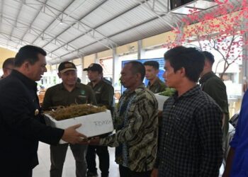 100 Rumah Tangga Perikanan di Batam Terima Bibit Rumput Laut