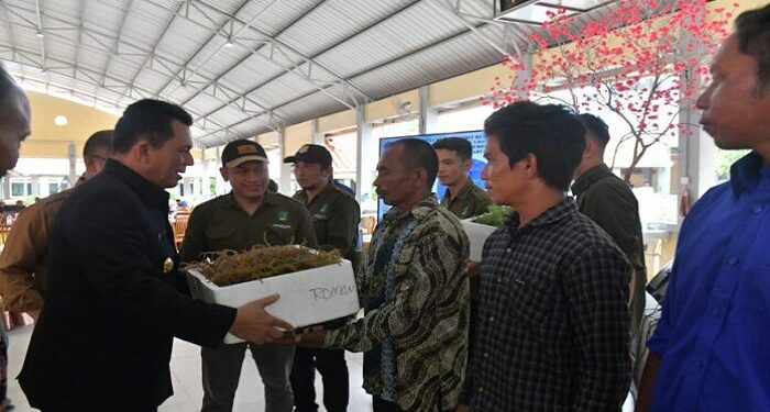 100 Rumah Tangga Perikanan di Batam Terima Bibit Rumput Laut