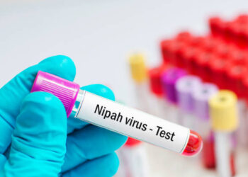 Hewan Ternak di Karimun Masih Aman dari Virus Nipah