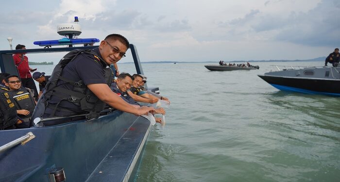 BC Kepri Gagalkan Penyelundupan 123 Ribu Ekor Benih Lobster Senilai Rp 19 M