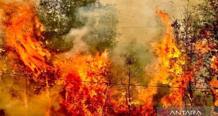 BNPB Sebut Titik Panas Karhutla Mulai Berkurang