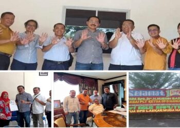 Mantan Gubernur Kepri Jabat Plt Ketua Hanura Kepri