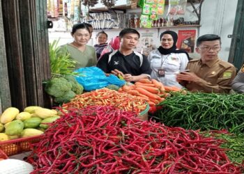 PJ Walikota Tinjau Harga Sembako dan Distributor Beras