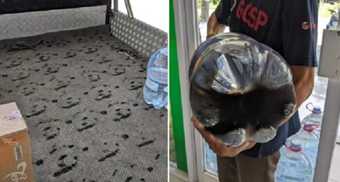 Panas Matahari Bikin Galon Sekali Pakai Gosong, Pakar Polimer Ingatkan Ini