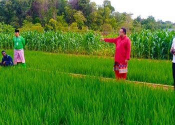Rutan Tanjungpinang Garap Tanam Padi, Anggur, Kurma di Pulau Dompak