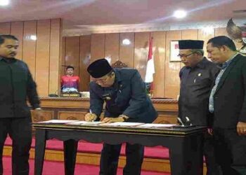 Utamakan Perlindungan Anak, Anggota DPRD Koalisi II Karimun Ubah Ranperda jadi Perda