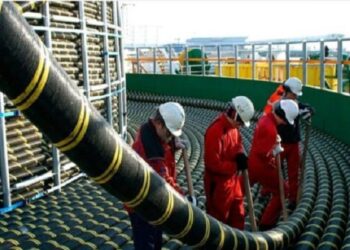 Pemprov Kepri Bangun SKLTM Berkekuatan 20 KV, Pulau Buluh Nikmati Listrik 24 Jam
