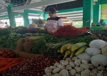 Gagal Panen, Harga Cabe di Karimun Alami Kenaikan