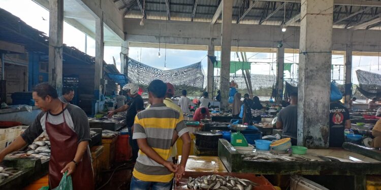 Harga Ikan di Bintan Alami Penurunan