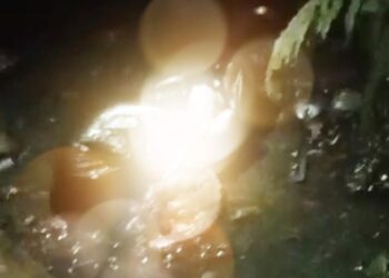 Warga Temukan Bayi Mungil Dalam Kondisi Tidak Bernyawa