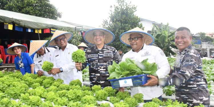 Program Ketahanan Pangan TNI AL Karimun Berhasil Panen 500 Kg Ikan Nila dan Sayuran
