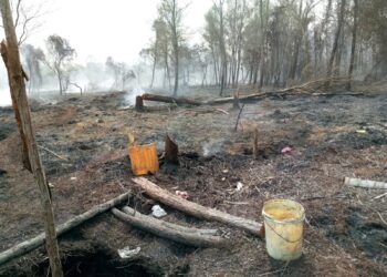 Polsek Kuba Polres Karimun Bersama Masyarakat Padamkan Kebakaran Lahan