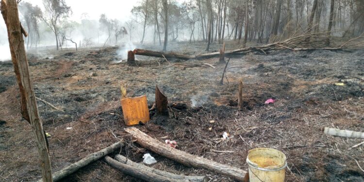 Polsek Kuba Polres Karimun Bersama Masyarakat Padamkan Kebakaran Lahan