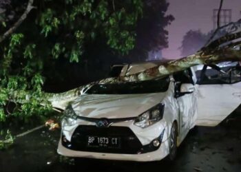 Satu Unit Mobil Tertimpa Pohon dan Atap Rumah Warga Ikut Diterjang Angin