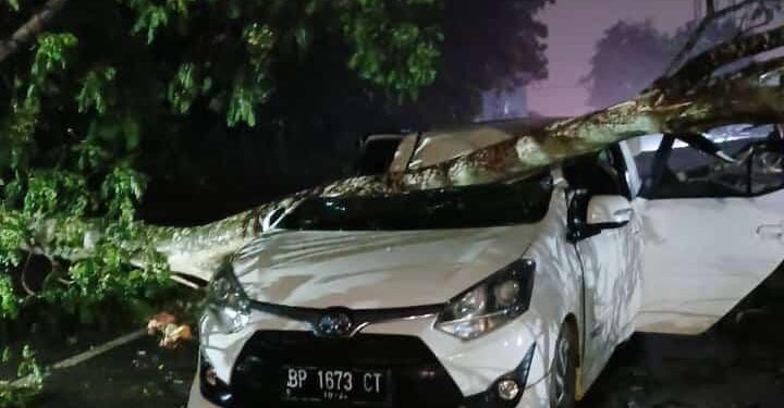 Satu Unit Mobil Tertimpa Pohon dan Atap Rumah Warga Ikut Diterjang Angin