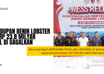 Penyeludupan Benih Lobster Senilai Rp 23.8 Milyar Berhasil di Gagalkan 