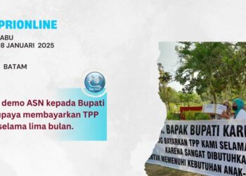 ASN Lakukan Aksi Demo, Tuntut Pembayaran TPP, TPG dan Gaji