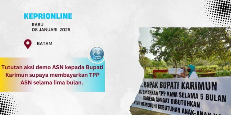 ASN Lakukan Aksi Demo, Tuntut Pembayaran TPP, TPG dan Gaji
