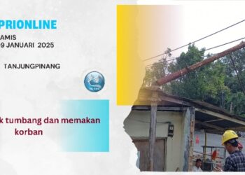 Tiang Listrik Tumbang dan Pengendara Motor Jadi Korban