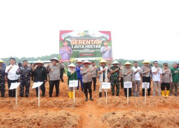 Sukseskan Ketahanan Pangan Lewat Penanaman Jagung 1 Hektar
