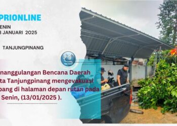 BPBD Mota Tanjungpinang Evakuasi Pohon Tumbang di Rutan Tanjungpinang