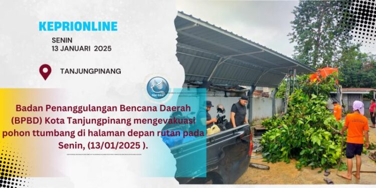 BPBD Mota Tanjungpinang Evakuasi Pohon Tumbang di Rutan Tanjungpinang