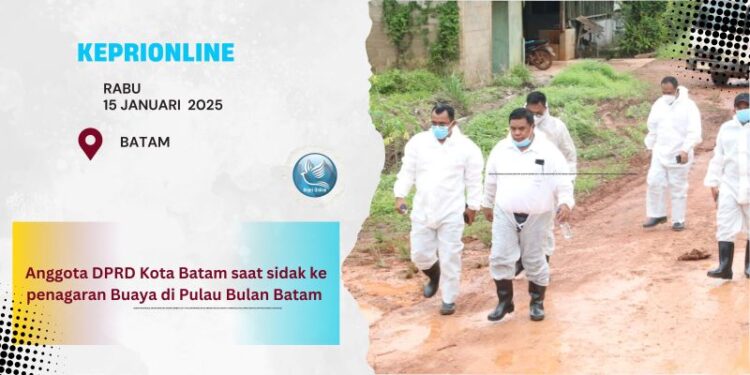 Usai Jebol Akibat Banjir, Anggota DPRD Kota Batam Sidak Penanagaran Buaya di Pulau Bulan