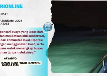 BBKSDA Cari Buaya yang Lepas dari Penangkaran di Pulau Bulan, DPRD Perizinan Perlu Dievaluasi