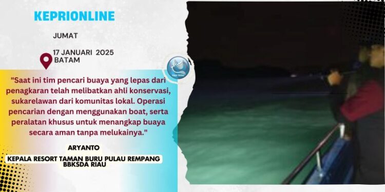 BBKSDA Cari Buaya yang Lepas dari Penangkaran di Pulau Bulan, DPRD Perizinan Perlu Dievaluasi