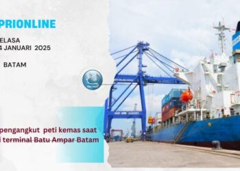 Tahun 2024 Arus Peti Kemas Mengalami Peningkatan di Bandingkan Tahun 2023