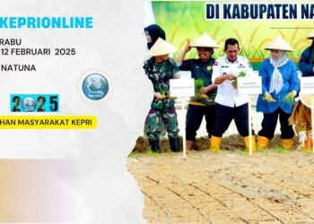 Pemrov Kepri Tanam Padi di Luas 60 Hektar