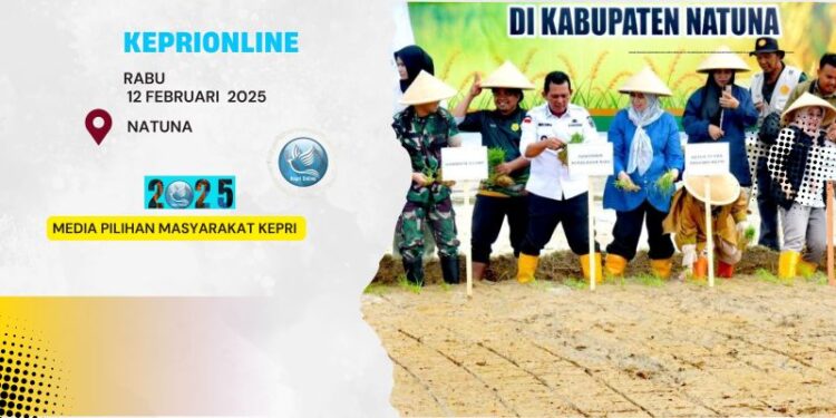 Pemrov Kepri Tanam Padi di Luas 60 Hektar