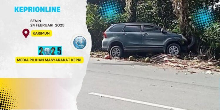 Kucing Penyebab Kecelakaan Tunggal