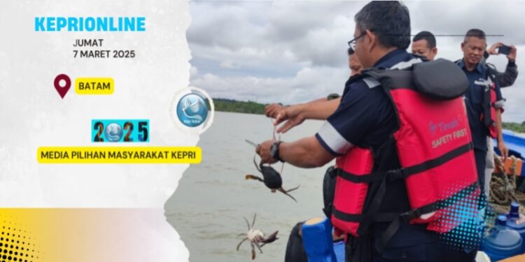 PT Timah Area Kundur Melepaskan 300 Ekor Bibit Kepiting