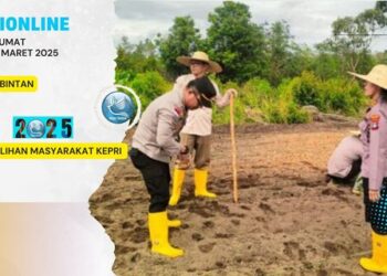 Dukung Astacita, Polres Bintan Manfaatkan Lahan Produktif dengan Nanam Jagung Pipil 