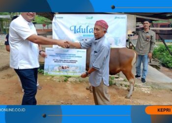 Pelindo Komitmen Berbagi di Momen Idul Adha