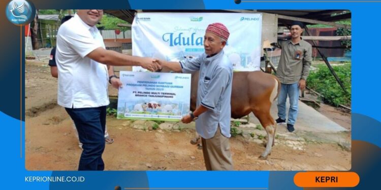 Pelindo Komitmen Berbagi di Momen Idul Adha